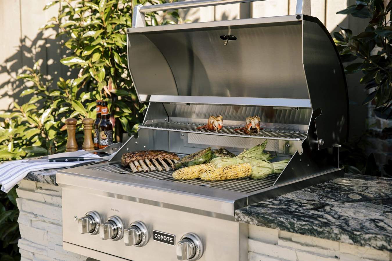 Gas Grills Image