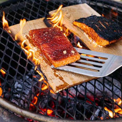 Breeo Smokeless Fire Pit Grilling Bundle