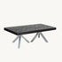Castelle Altra Large Rectangular Coffee Table