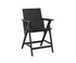 Berlin Gardens Kinsley Counter Arm Chair in Black
