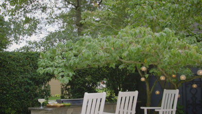 POLYWOOD Vineyard Bar Arm Chair